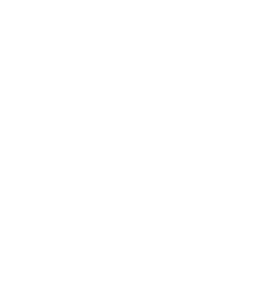 Brandon Wicks Real Estate